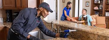 Professional Pest control in Edgerton, KS